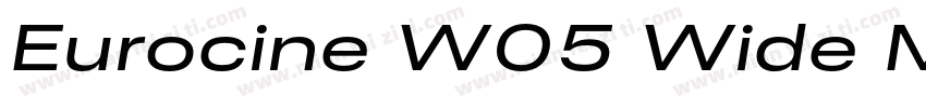 Eurocine W05 Wide Medium字体转换